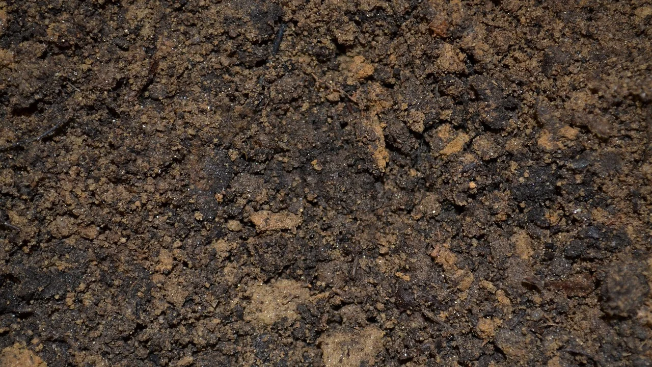 Resíduos vegetais separados para uma composteira doméstica.