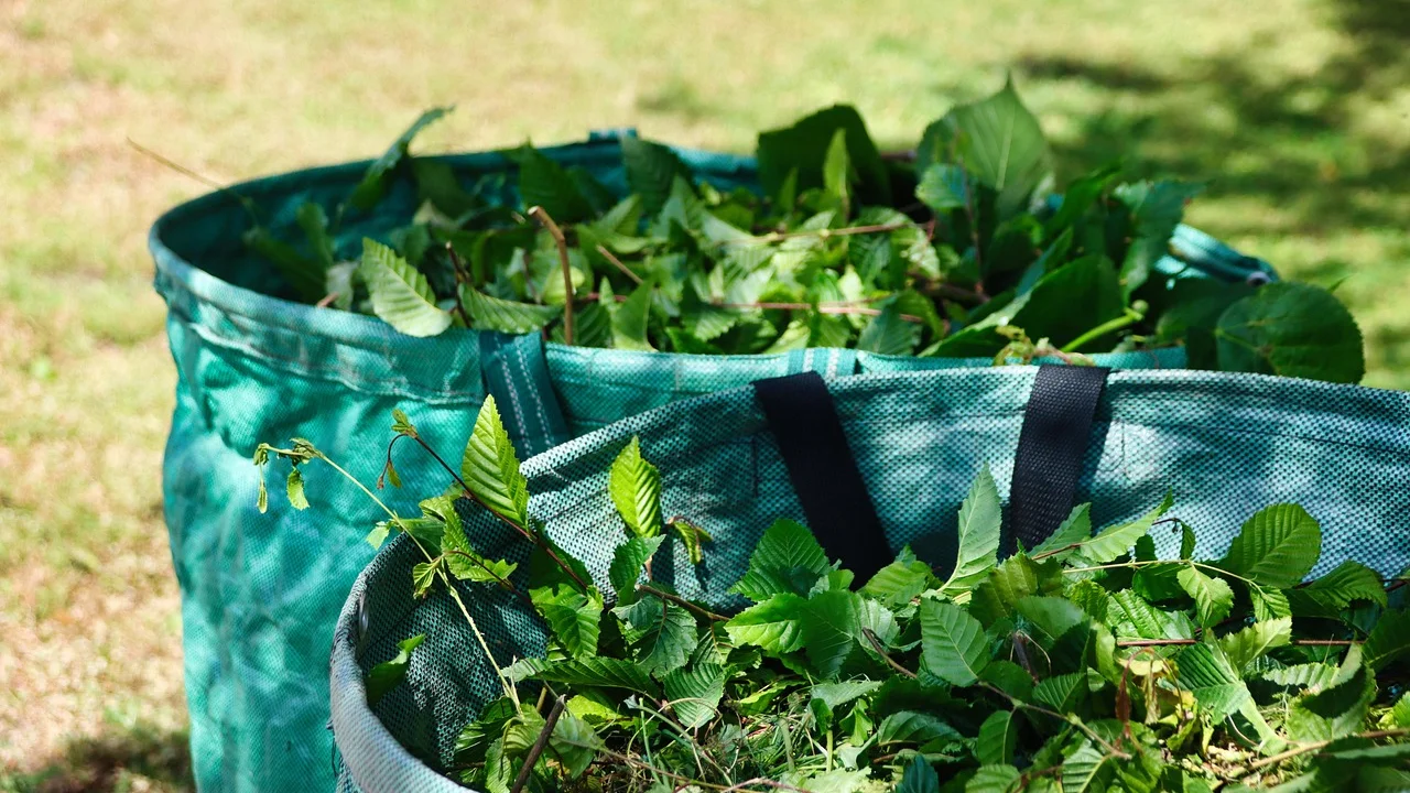 Horta em casa com solo rico em matéria orgânica.