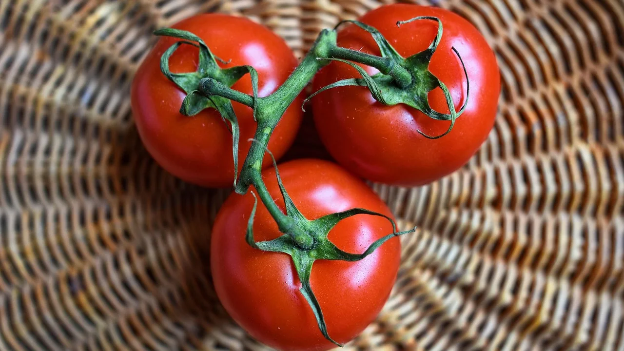 Salada com folhas, tomate e legumes em um prato caseiro