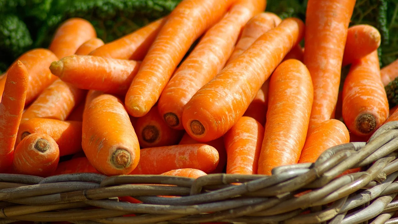 Vegetais congelados como alternativa prática para dias corridos