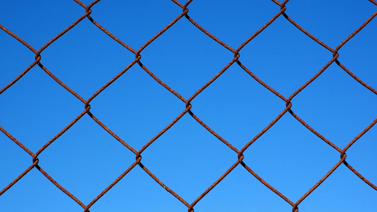 Aplicativo de rede mostra a conexão entre os nós mesh