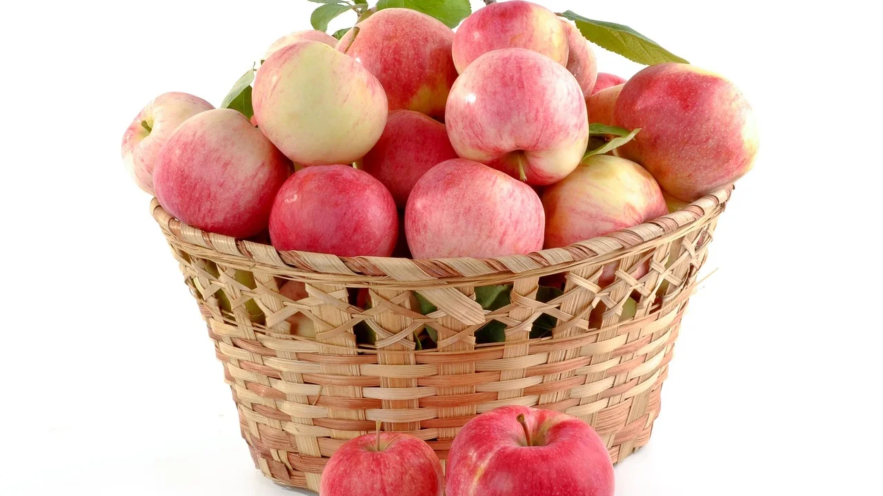 Porções de frutas prontas para congelar em recipientes fechados.