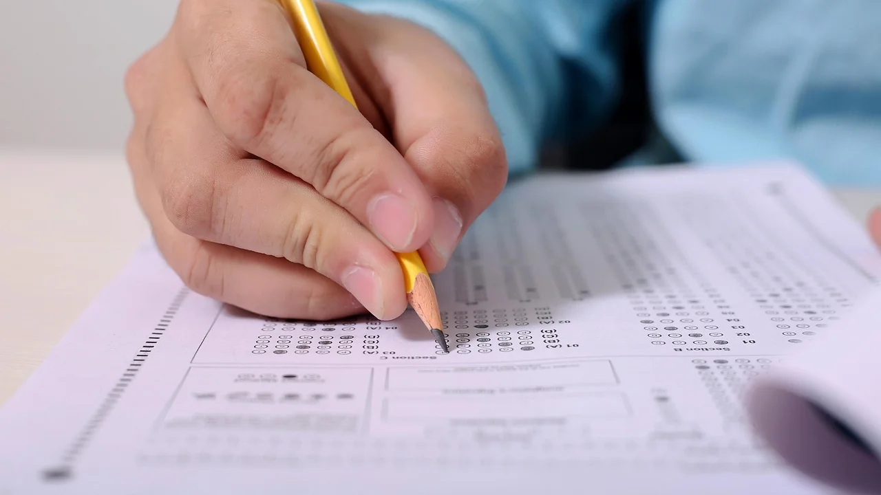 Pasta com certificados e documentos de estudo