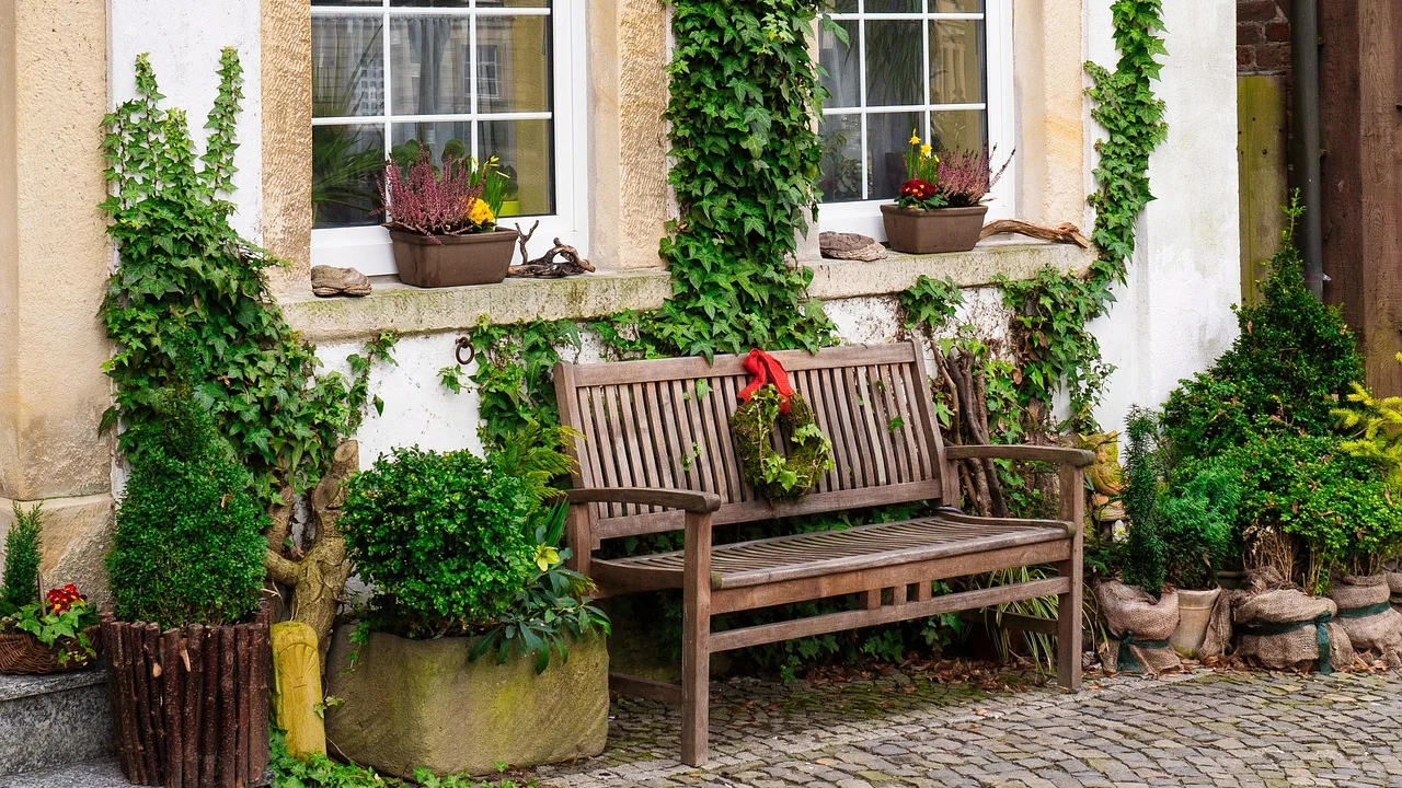 Plantas de folhagem em local com luz natural indireta