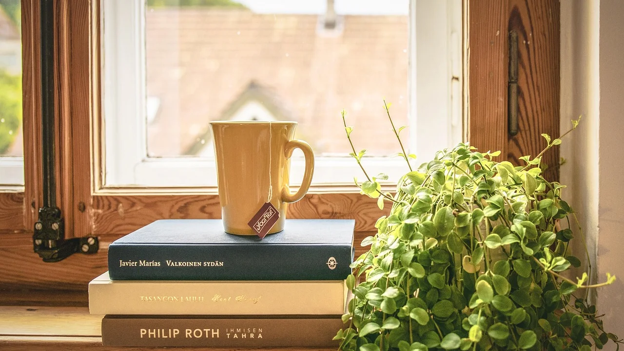 Plantas e vasos renovados dão vida a um canto da casa.