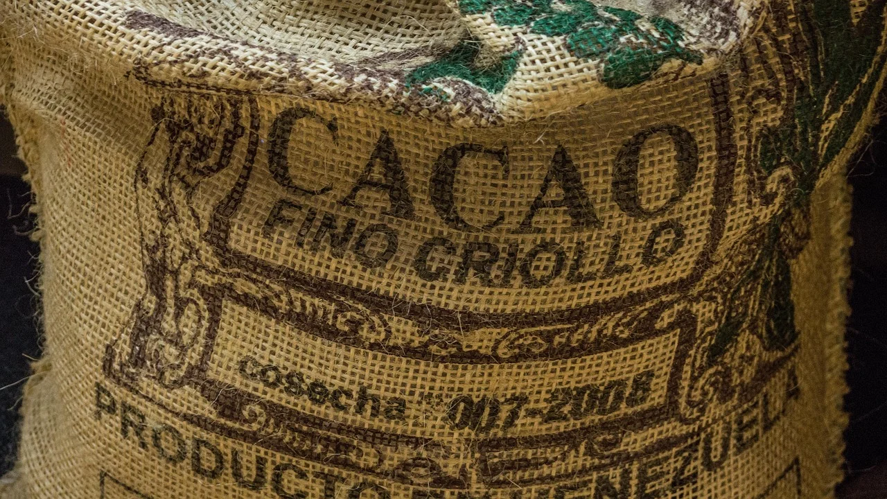 Produtos semelhantes posicionados para comparação de rótulos.