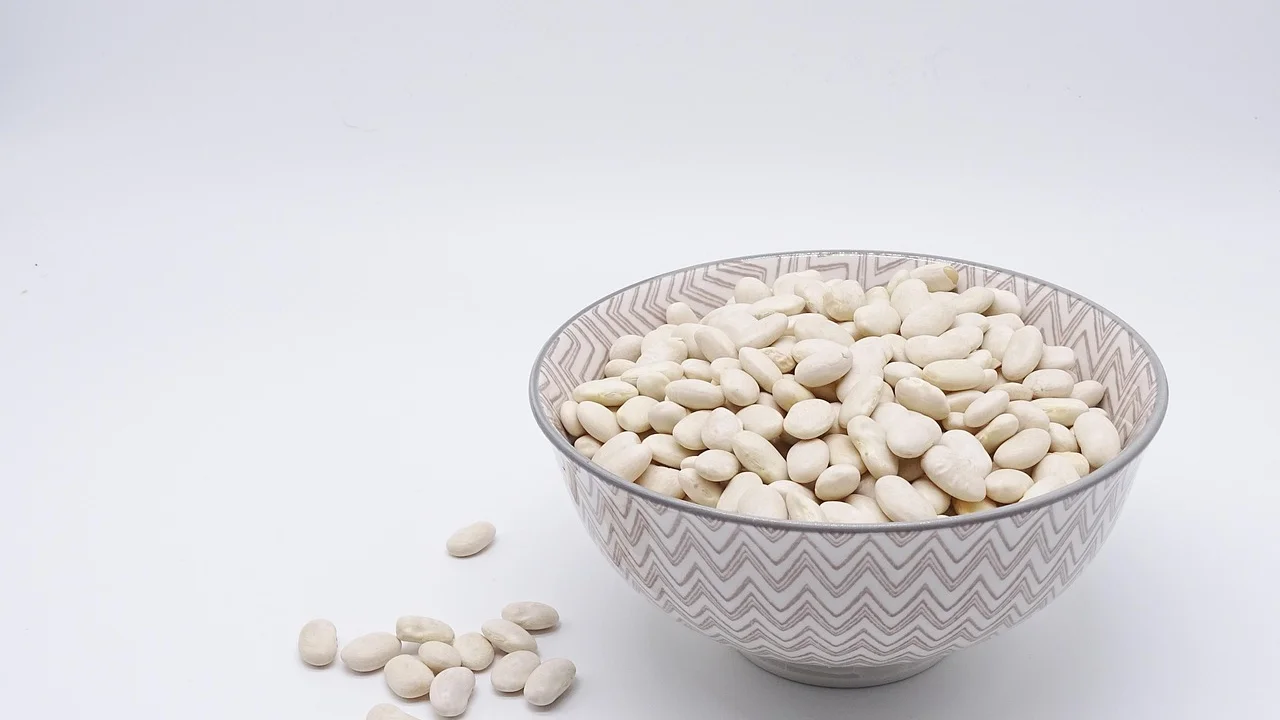 Prato equilibrado com leguminosas, vegetais e uma fonte de proteína