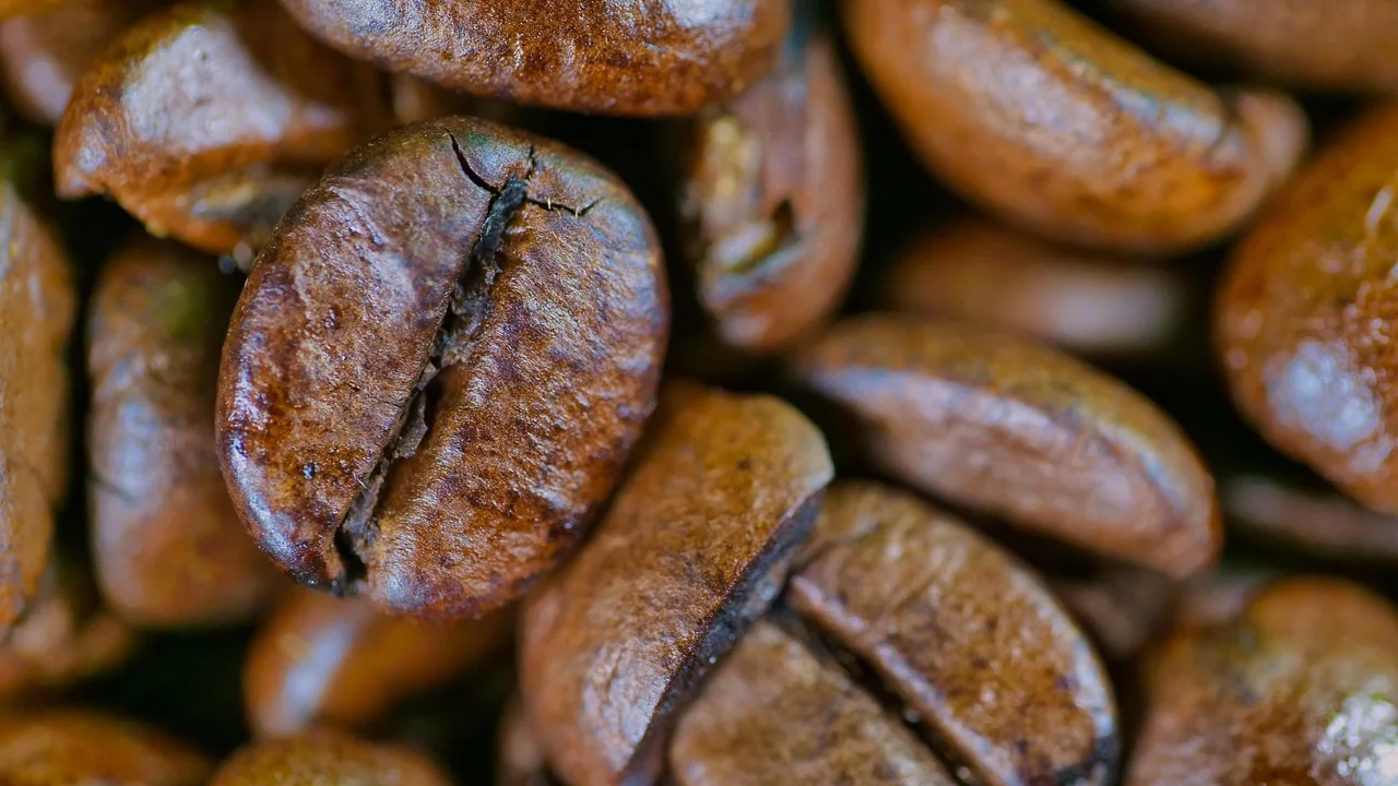 Grãos de café recém-torrados em uma superfície de madeira.