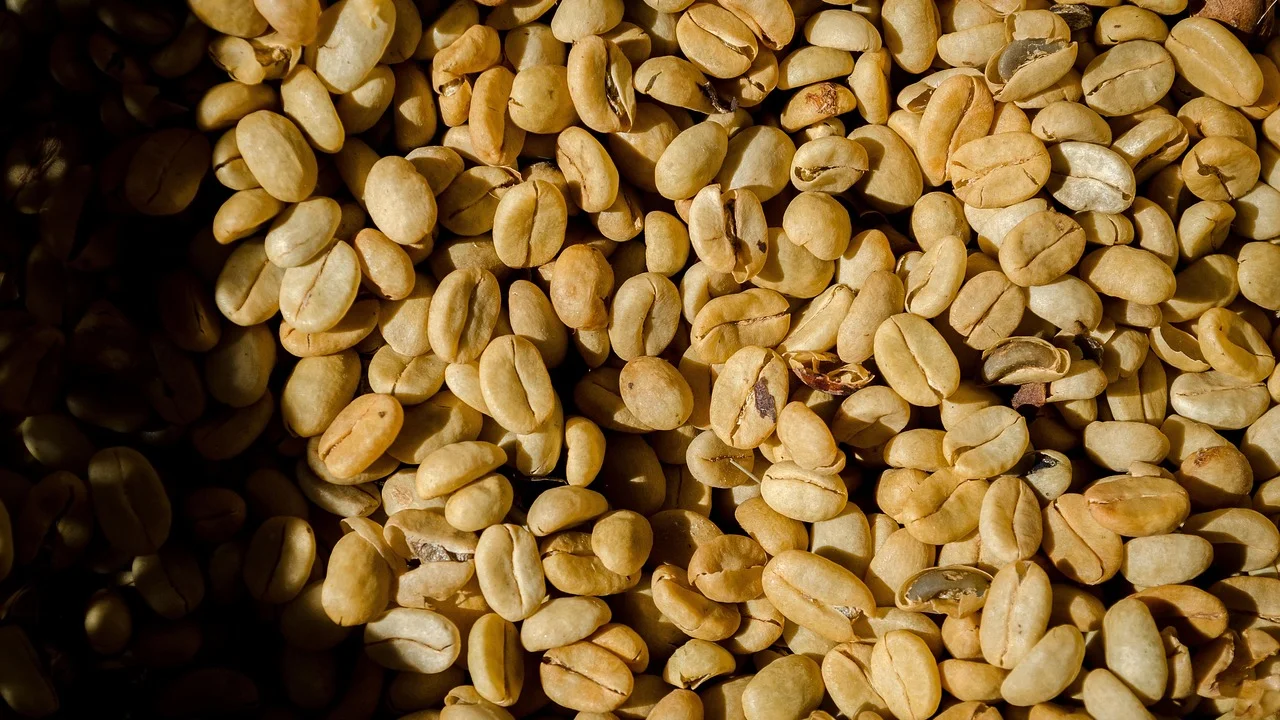 Embalagem de café em grãos com informações de origem e torra.
