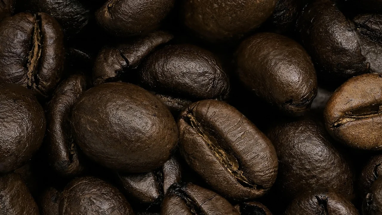 Xícara de café filtrado ao lado de grãos e utensílios de preparo.