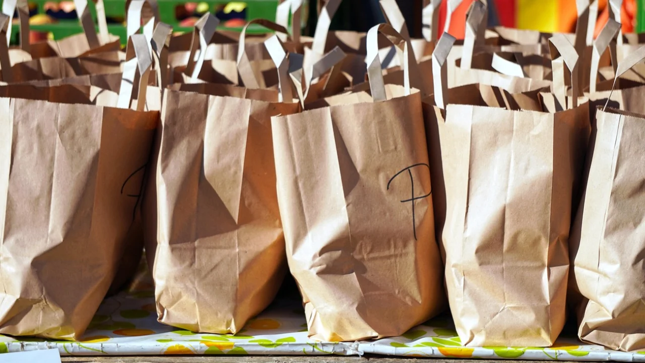 Potes reutilizáveis e sacolas retornáveis para compras do dia a dia.