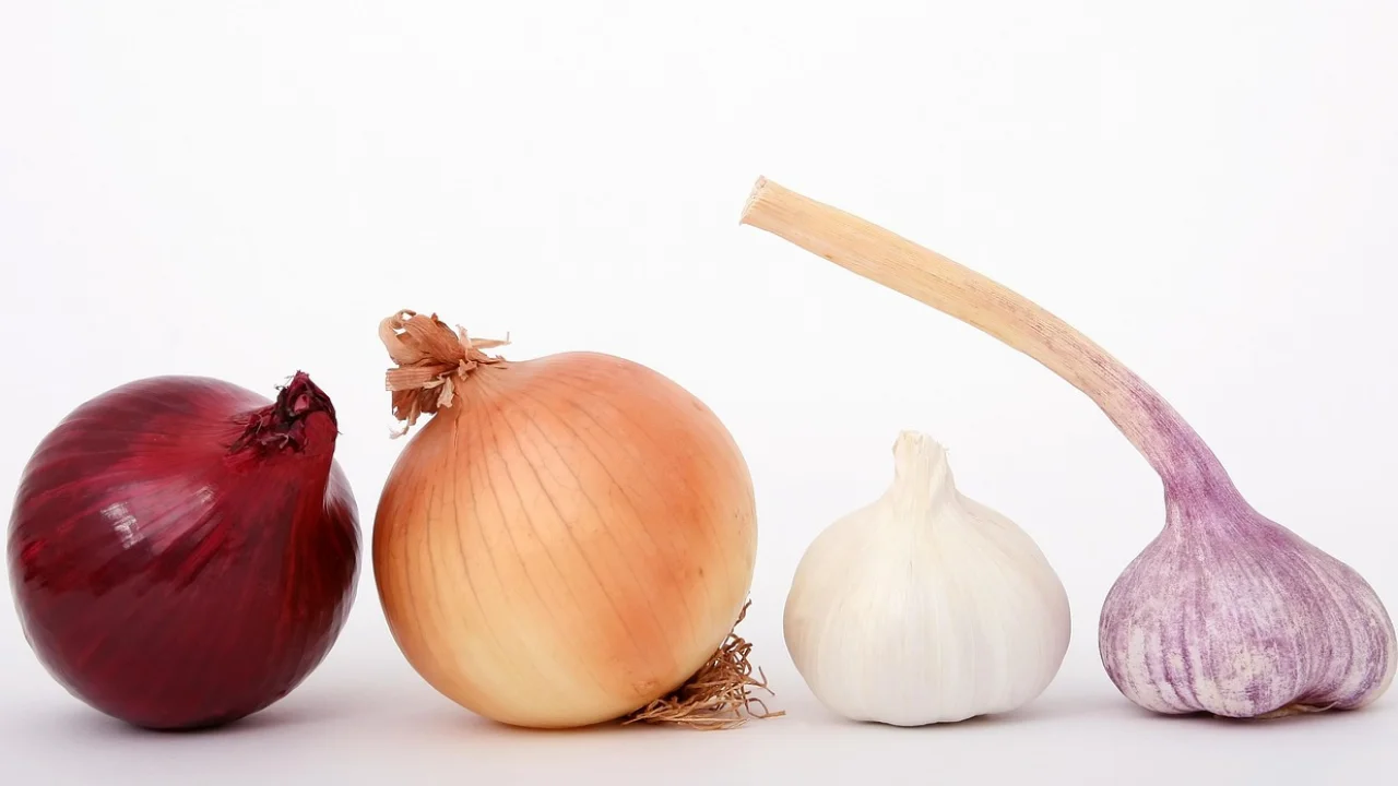 Porções congeladas permitem aproveitar alimentos com mais segurança.