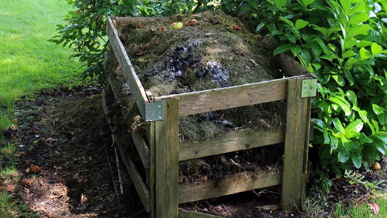 Composto maduro com aparência escura e cheiro de terra.