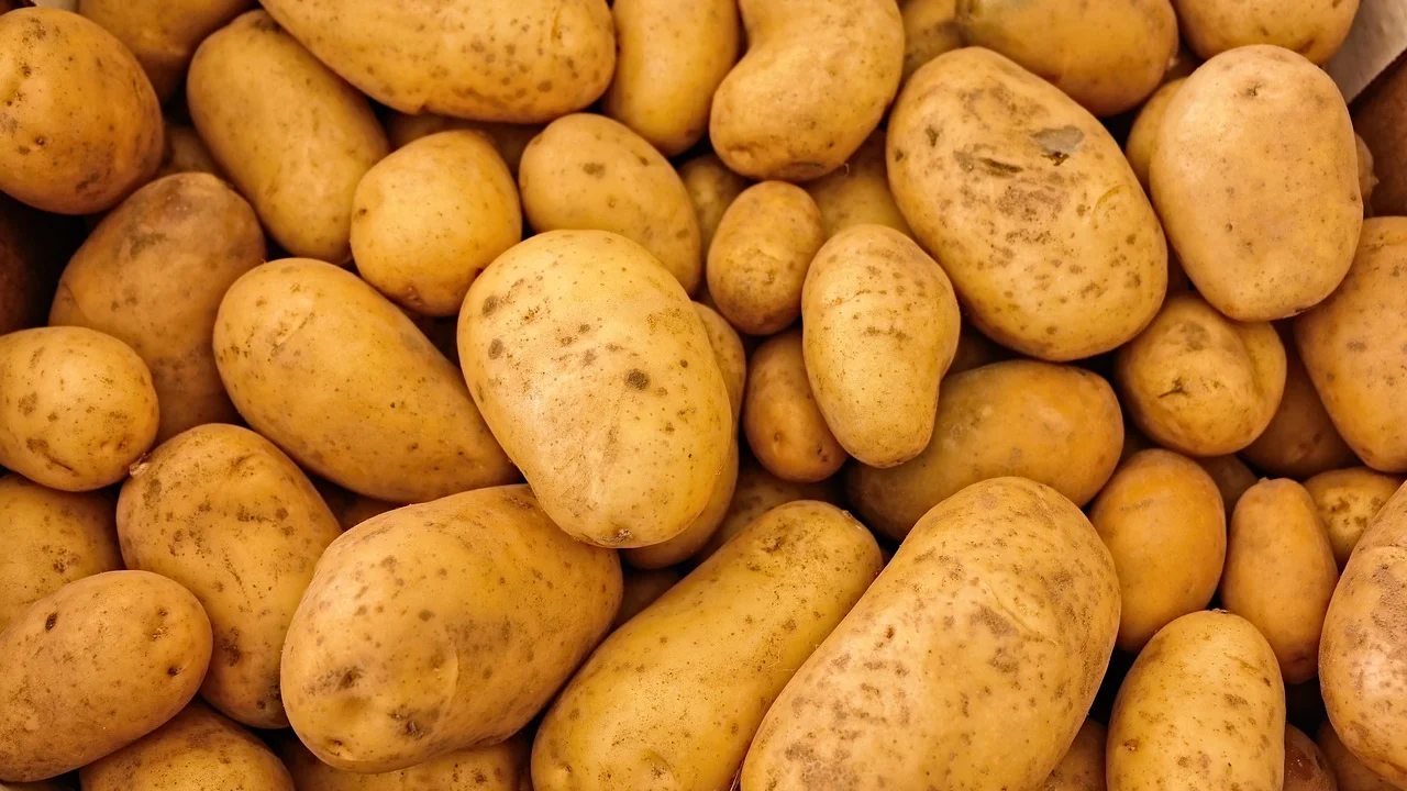 Legumes coloridos aumentam a variedade e a textura do prato.