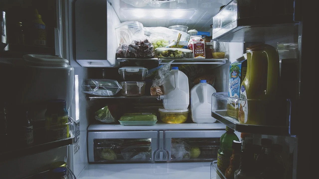 Frutas, verduras e folhas organizadas nas gavetas do refrigerador.