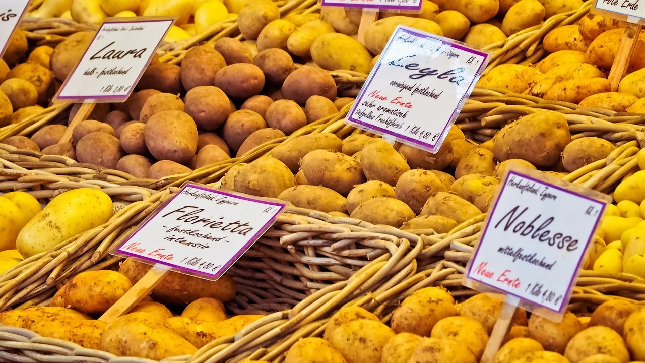 Pessoa comparando preços de frutas e legumes no mercado