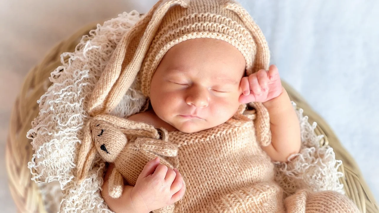 Armário com roupas de bebê separadas por tamanho