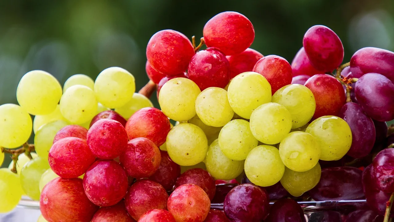 Água é uma alternativa para reduzir bebidas açucaradas.