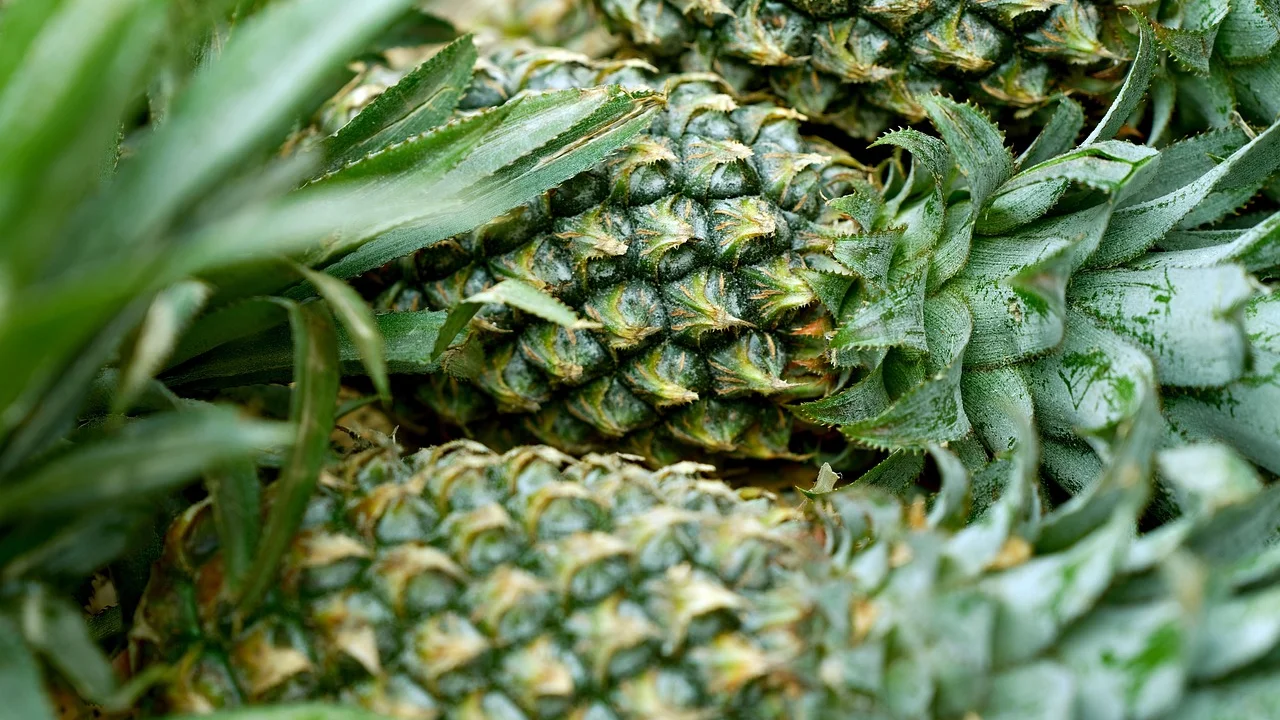 Ingredientes simples facilitam o preparo de lanches caseiros.