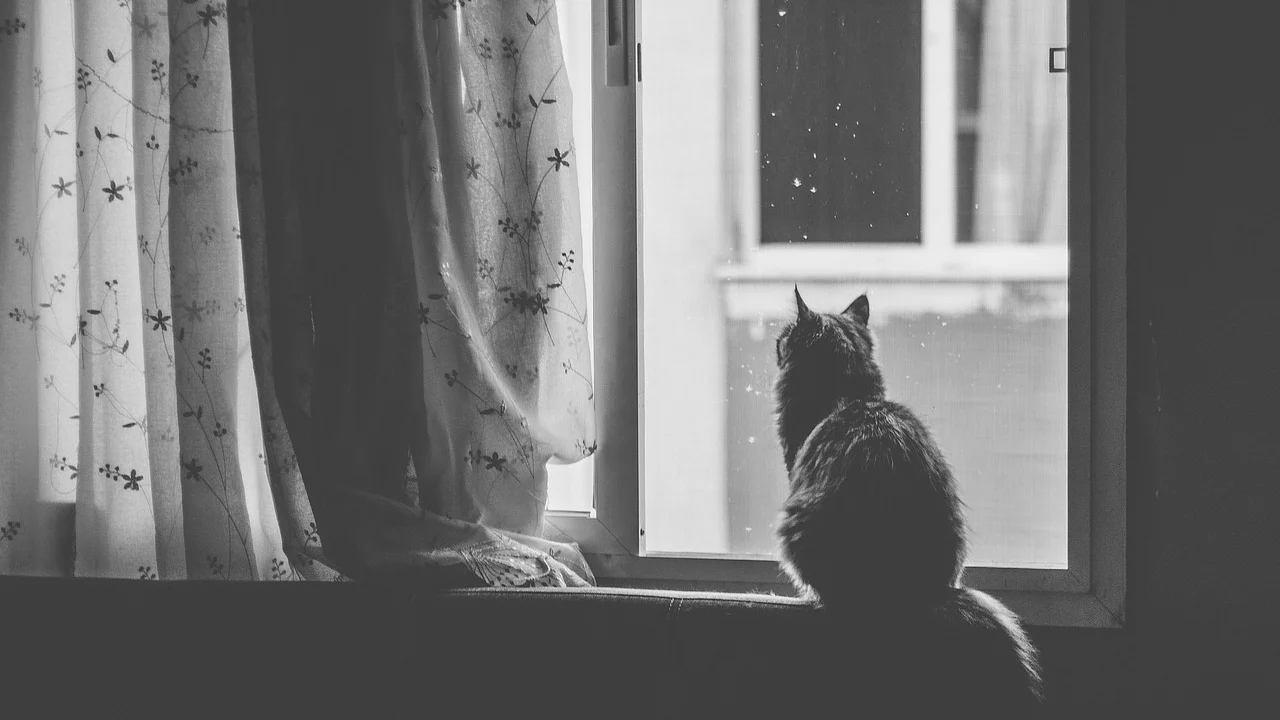 Momento de pausa em um ambiente calmo após um dia cansativo.