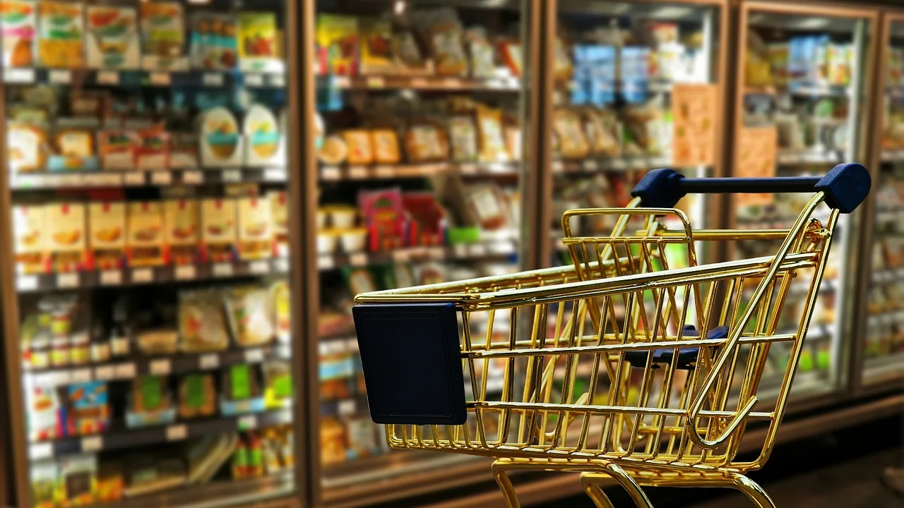 Consumidora conferindo regras de promoção em aplicativo