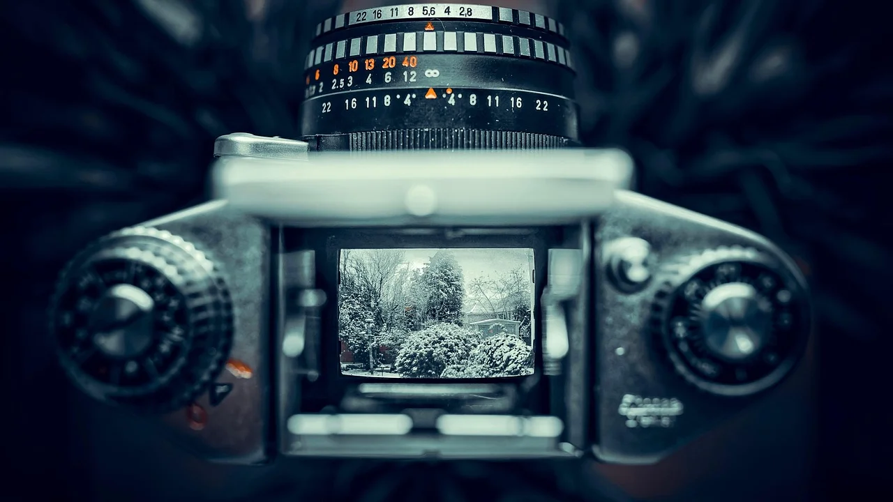 Bancos de imagens exibem condições específicas para cada arquivo.