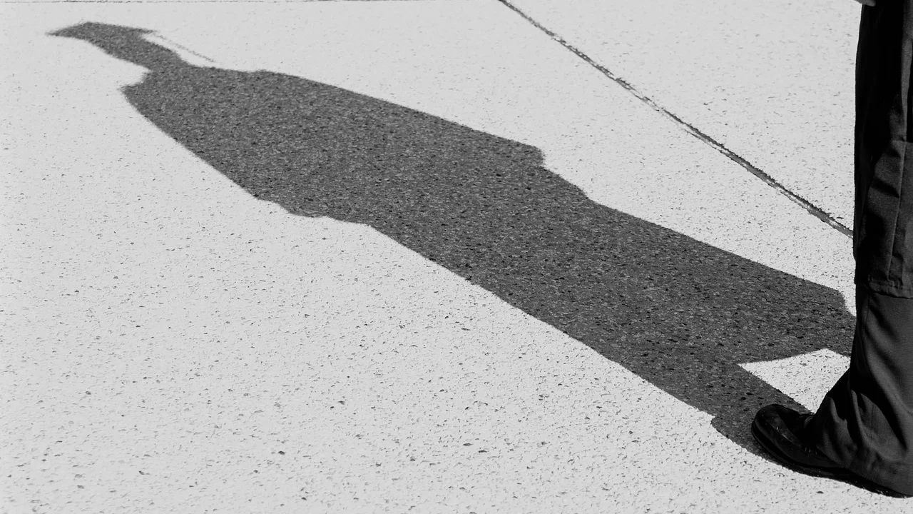 Tradução juramentada ajuda a instruir processos acadêmicos